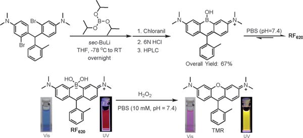 Scheme 2