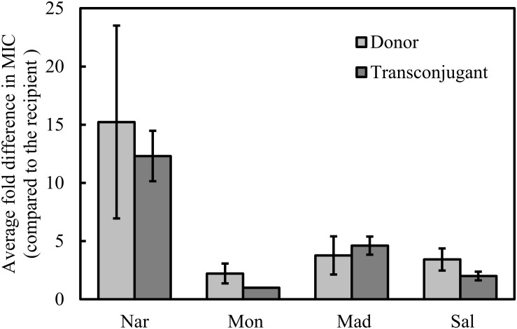 FIGURE 1