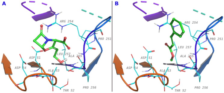 Figure 5.