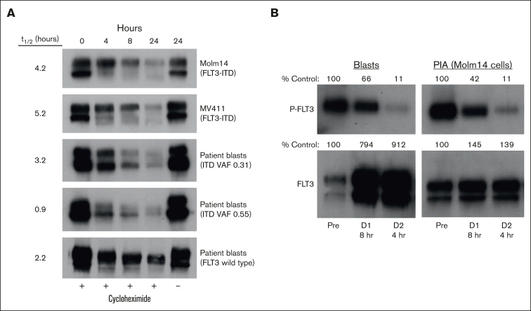 Figure 2.