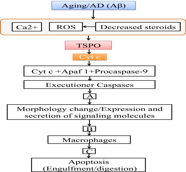 Fig.(1)