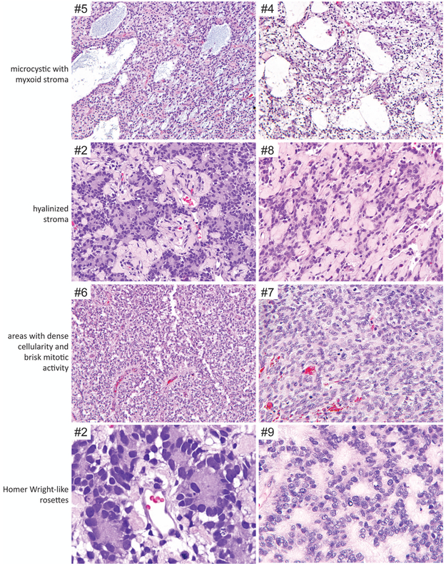 Figure 4.