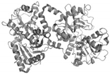 graphic file with name antibiotics-09-00658-i015.jpg