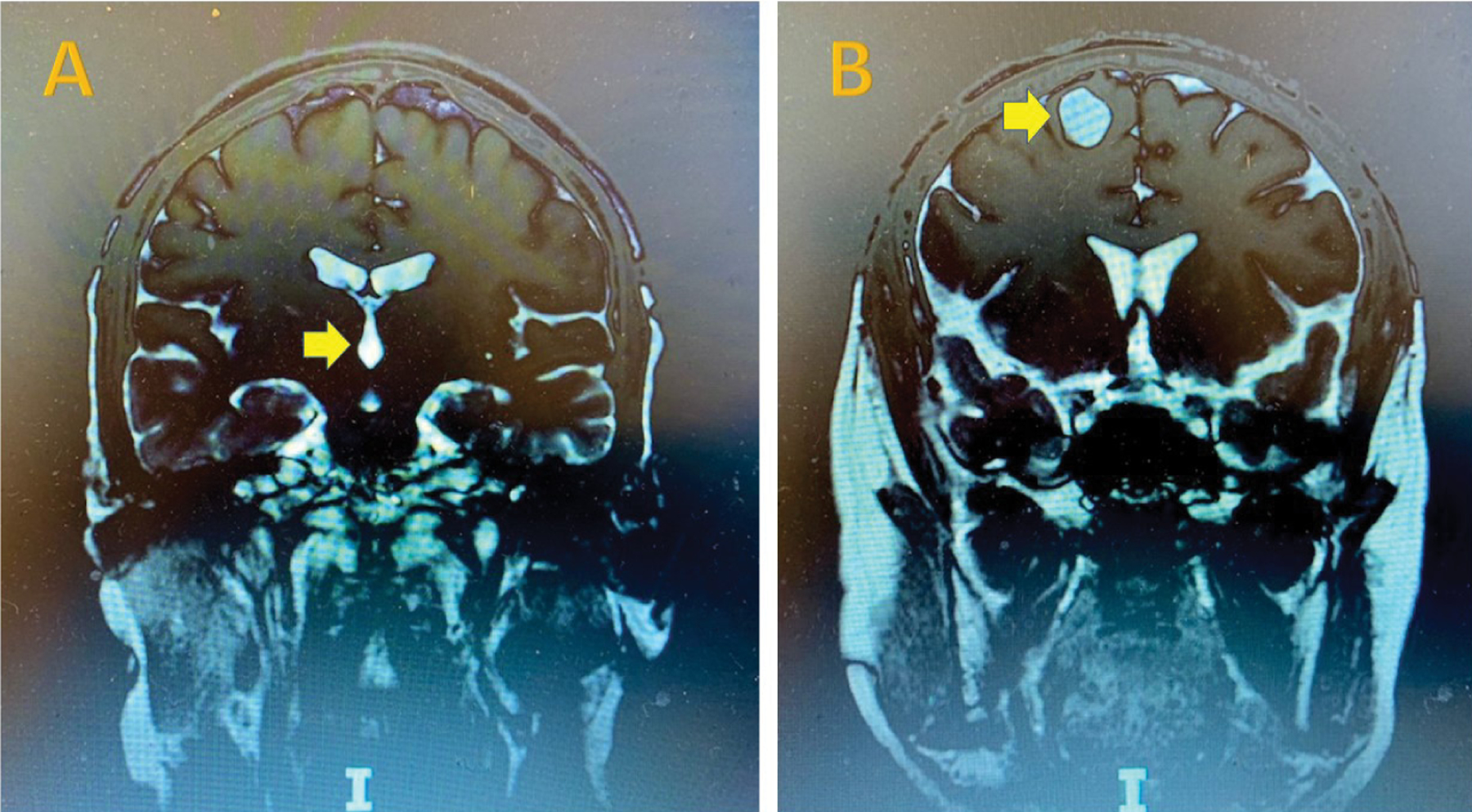 Figure 1:
