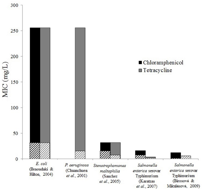 FIGURE 1