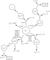Figure 12.