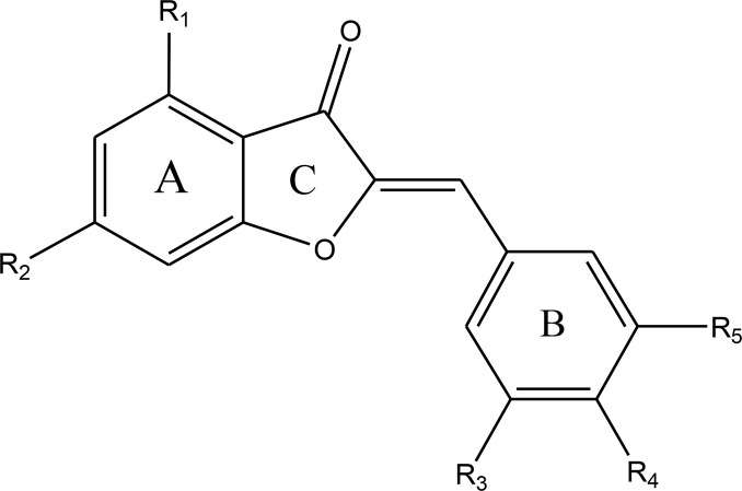 Fig. 1: