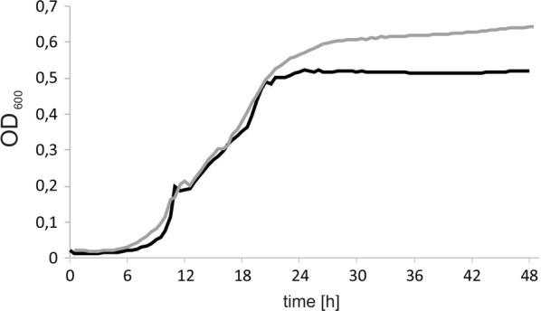 Fig. 2