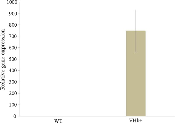 Fig. 1