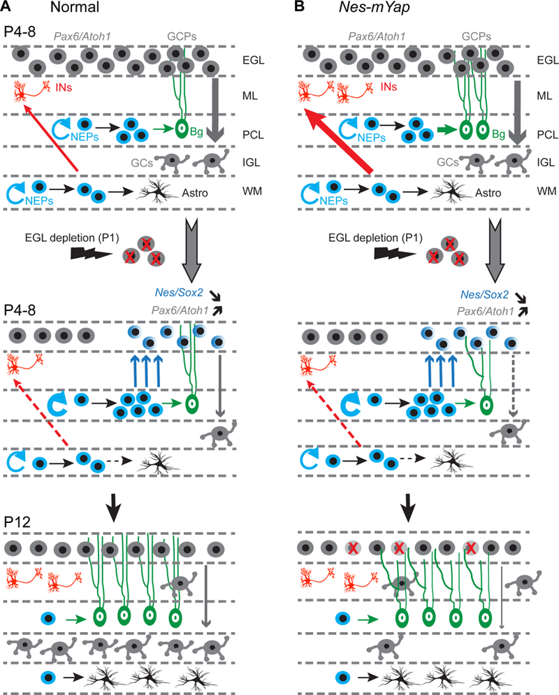 Figure 9.