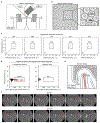 Extended Data Fig. 4 |