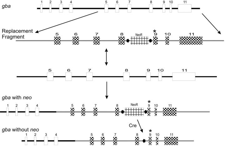 Figure 1.