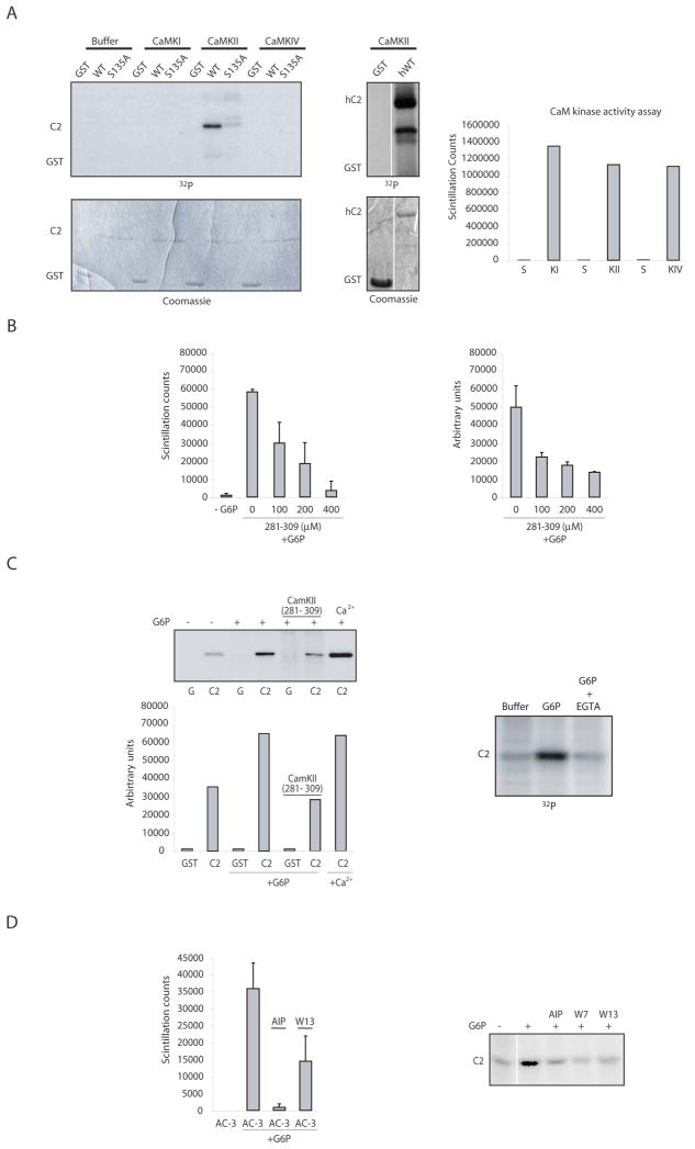 Fig 6