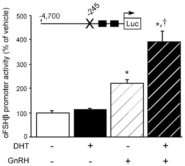 Fig. 11