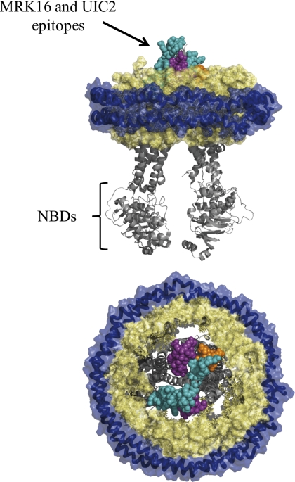 FIGURE 6.