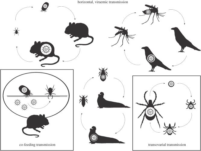 Figure 1.