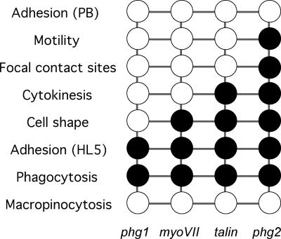 Figure 10.