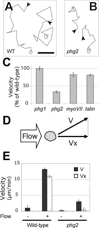 Figure 9.