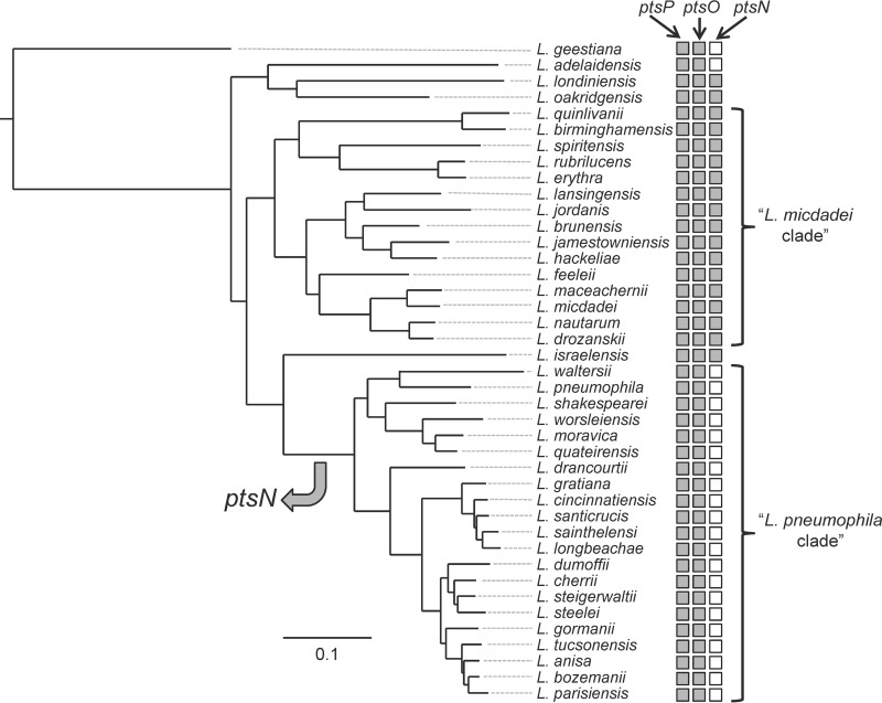 FIG 2