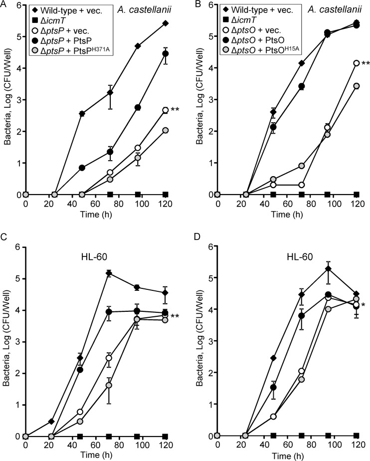 FIG 3