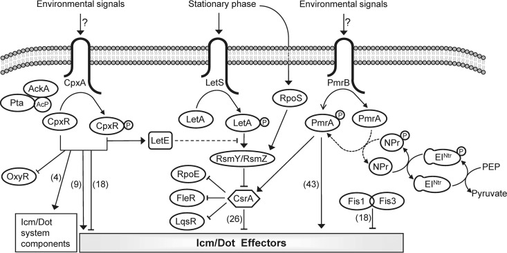 FIG 11