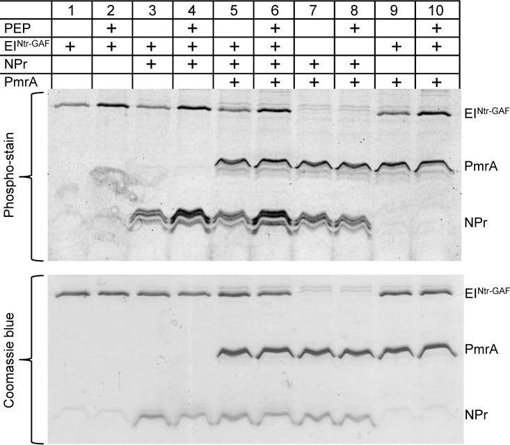 FIG 10