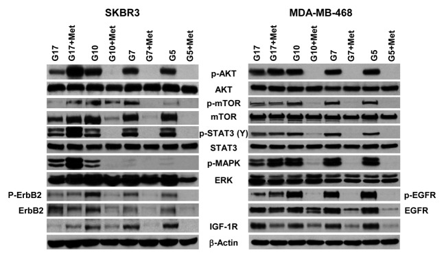 Figure 5.