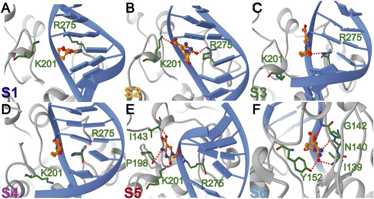 Fig. 6.