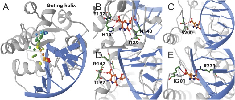 Fig. 4.