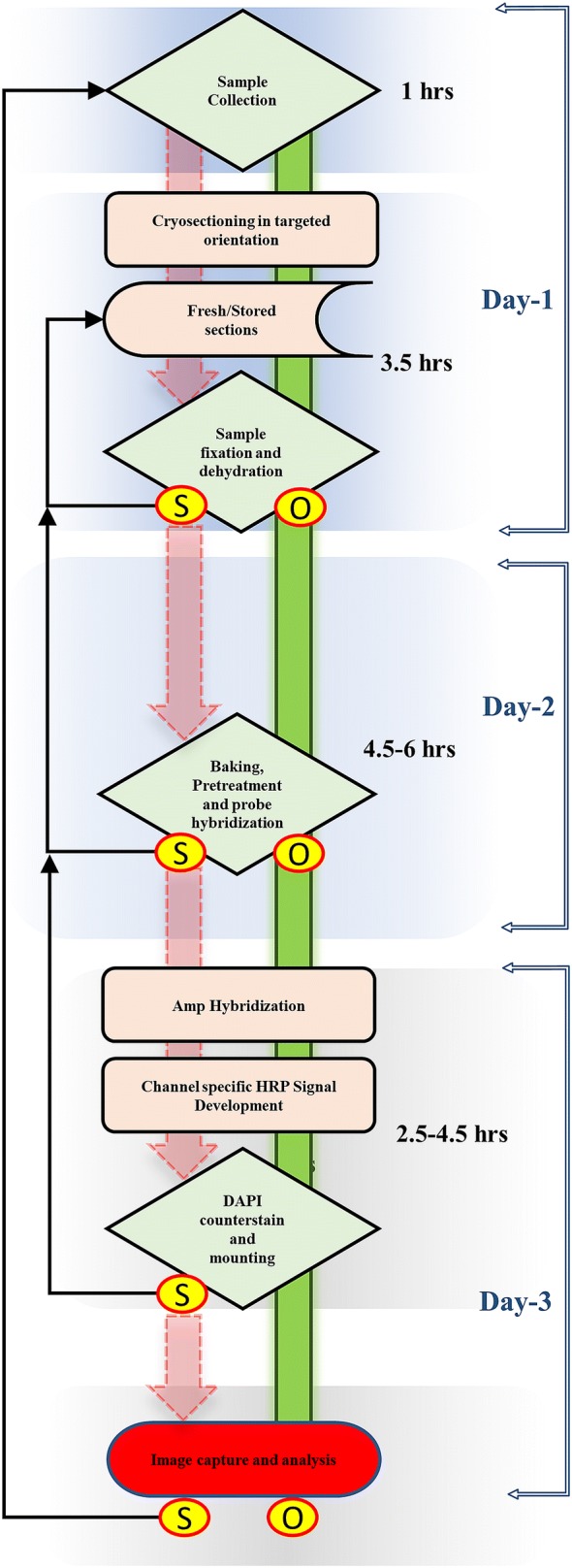 Fig. 3