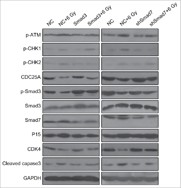 Figure 10.