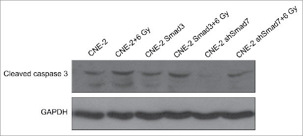 Figure 13.