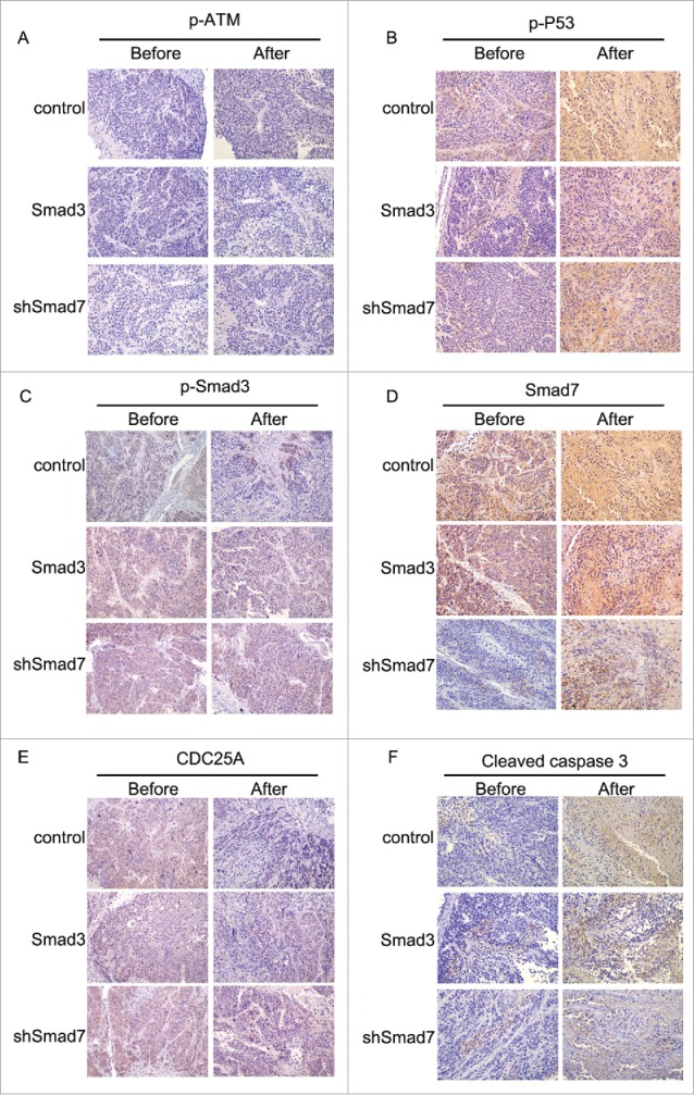 Figure 12.