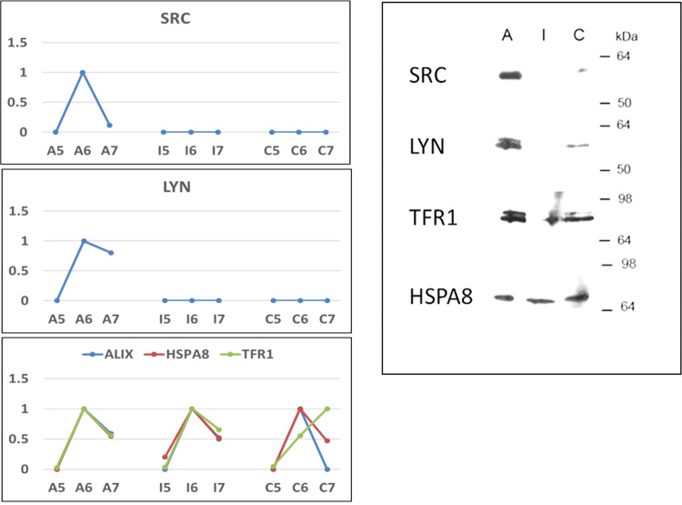 Fig 10