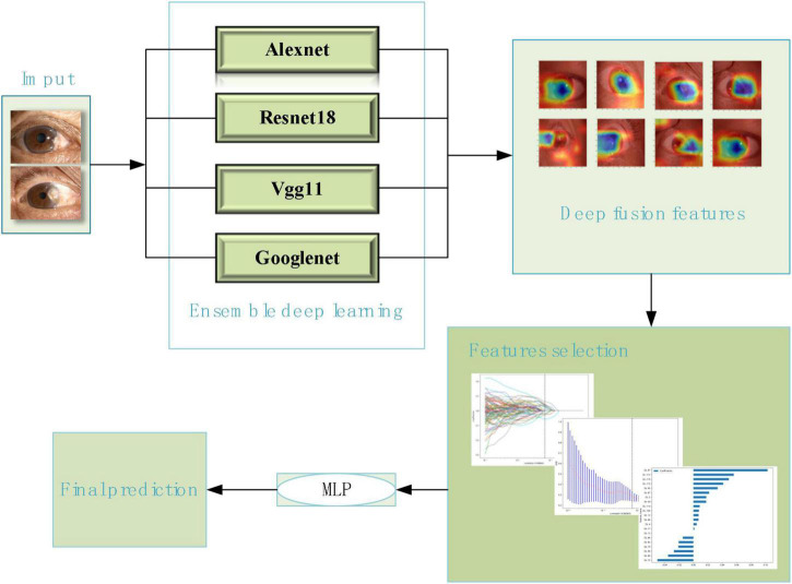 FIGURE 2