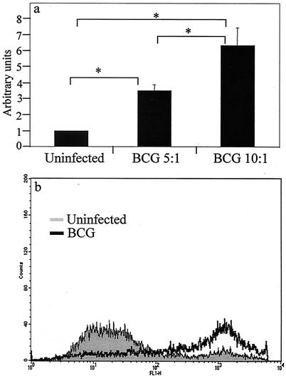 FIG. 1.