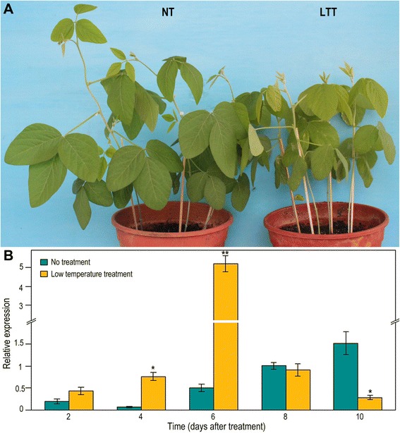 Fig. 8