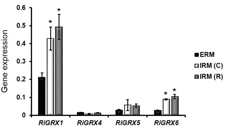 Fig 2