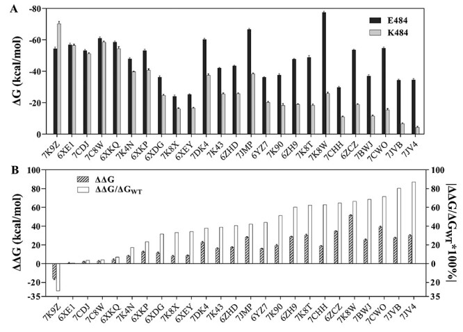 Exploring the immune evasion of SARS-CoV-2 variant harboring E484K by ...