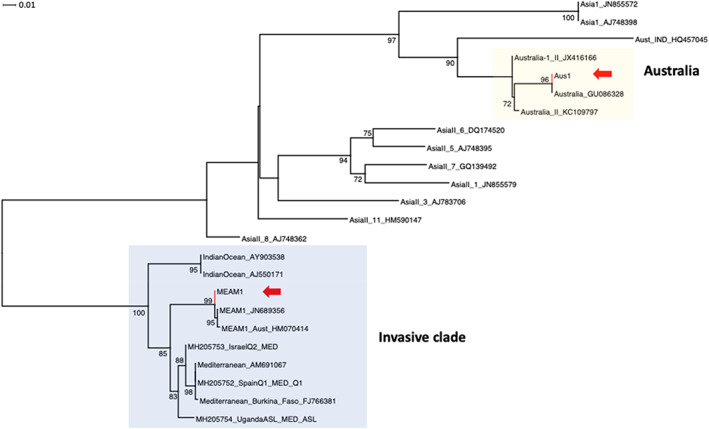 FIGURE 2