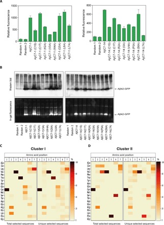 Fig. 6