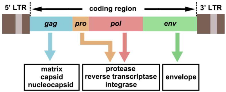 Fig. 1