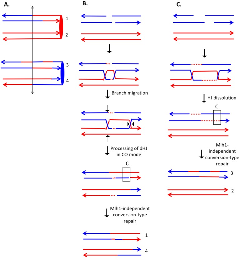 Figure 9.