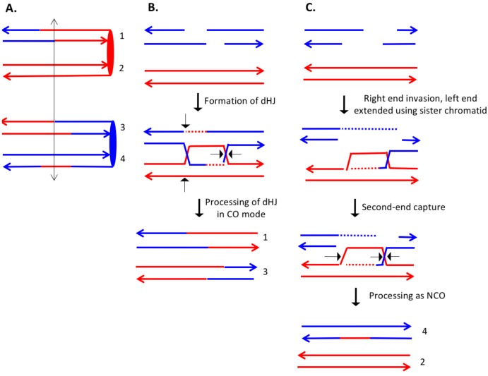 Figure 10.