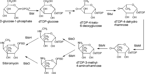 FIG. 7.