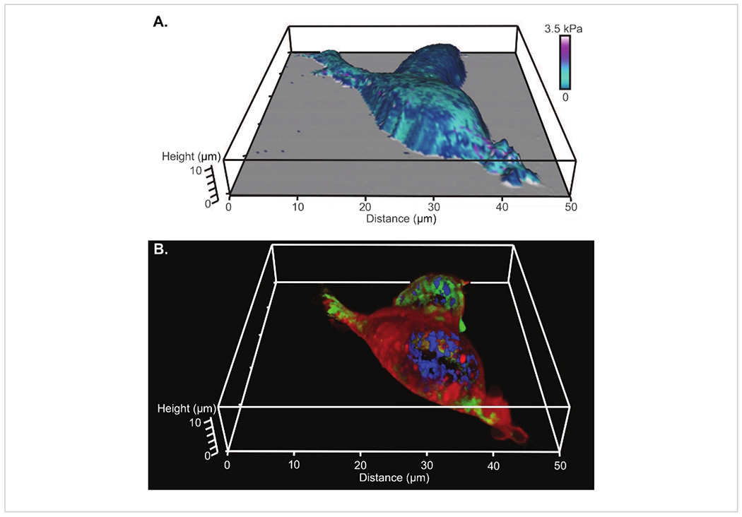 Figure 4: