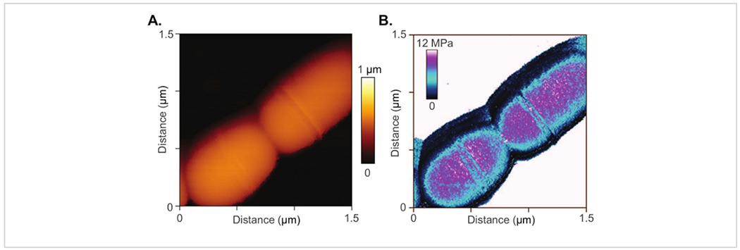 Figure 5: