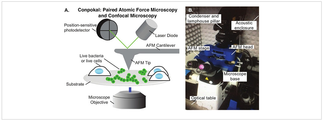 Figure 1: