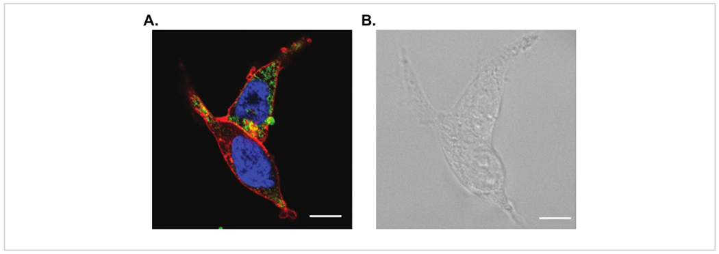 Figure 3: