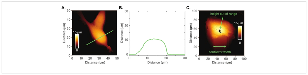 Figure 2: